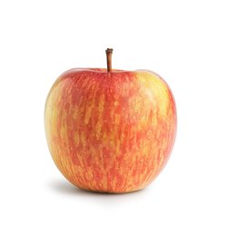 Apfel 'Fuji' Busch C7,5, Apfel als Kübelpflanze, Süßer Apfel