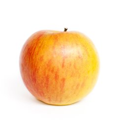 Apfel 'Cox Orange Renette' Halbstamm C10