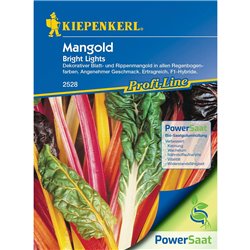 Mangold Bright Lights PowerSaat (pilliert), saatgut, mehr