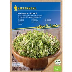 BIO Microgreens Brokkoli, sprossen, brokkoli, mildwürzigen