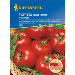 Salat-Tomate Harzfeuer, F1