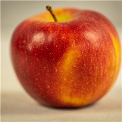 Apfel 'Braeburn' Halbstamm C10, Obstbaum Halbstamm online