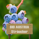 BIO AUSTRIA Beerensträucher