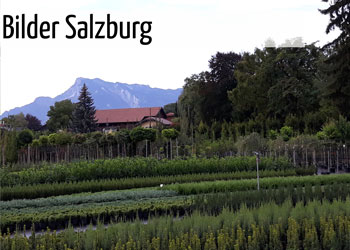 GartenGarten Produktion Salzburg