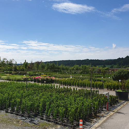 GartenGarten Produktion Steiermark